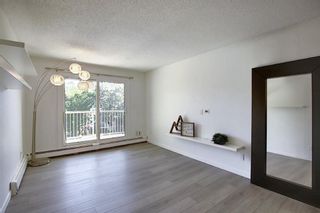 Photo 12: 203 809 4 Street NE in Calgary: Renfrew Apartment for sale : MLS®# A2118564