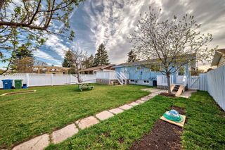 Photo 26: 1316 38 Street SE in Calgary: Forest Lawn Detached for sale : MLS®# A2130588