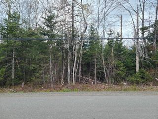 Photo 3: Belmont Road in Belmont: 104-Truro / Bible Hill Vacant Land for sale (Northern Region)  : MLS®# 202309405