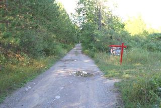 Photo 18: Lt 27 Ramblewood Trail in Kawartha Lakes: Rural Bexley Property for sale : MLS®# X4857401