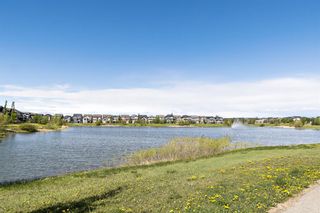 Photo 41: 85 Legacy Landing SE in Calgary: Legacy Detached for sale : MLS®# A2051222