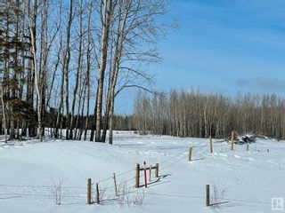 Photo 10: 225000 Hwy 661: Rural Athabasca County Rural Land/Vacant Lot for sale : MLS®# E4281023