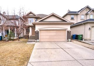 Photo 32: 18 Cranwell Close SE in Calgary: Cranston Detached for sale : MLS®# A1201436