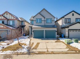 Main Photo: 58 Copperfield Point SE in Calgary: Copperfield Detached for sale : MLS®# A2119047