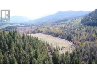 Photo 13: 2524 Enderby Mabel Lake Road in Enderby: Vacant Land for sale : MLS®# 10310628