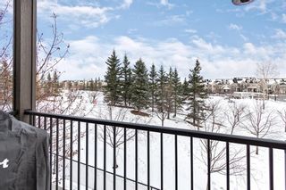 Photo 22: 211 37 Prestwick Drive SE in Calgary: McKenzie Towne Apartment for sale : MLS®# A1055114