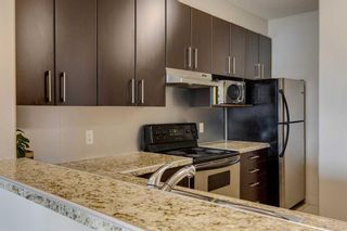 Photo 9: 305 830 Centre Avenue NE in Calgary: Bridgeland/Riverside Apartment for sale : MLS®# A2124005