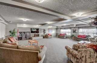 Photo 21: 3316 3000 Millrise Point SW in Calgary: Millrise Apartment for sale : MLS®# A2128348