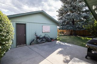 Photo 35: 2719 41A Avenue SE in Calgary: Dover Detached for sale : MLS®# A1132973