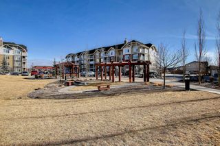 Photo 43: 2204 155 Skyview Ranch Way NE in Calgary: Skyview Ranch Apartment for sale : MLS®# A1177548