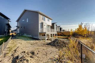 Photo 40: 48 Willow Street: Cochrane Detached for sale : MLS®# A1259246