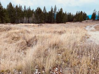 Photo 3: Lot 3 LAKEVIEW DRIVE in Windermere: Vacant Land for sale : MLS®# 2461999