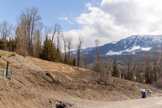Photo 16: 1653 MCLEOD AVENUE in Fernie: Vacant Land for sale : MLS®# 2470726