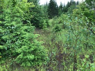 Photo 8: Lot 2 Cedar Drive in Blind Bay: Vacant Land for sale : MLS®# 10256384