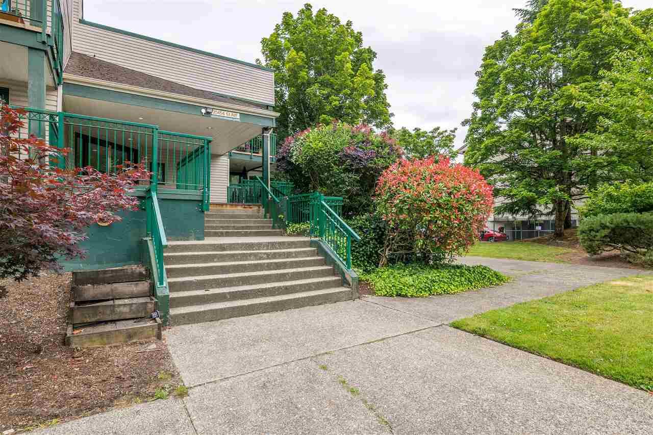Main Photo: 116 20454 53 Avenue in Langley: Langley City Condo for sale in "Rivers Edge" : MLS®# R2402890