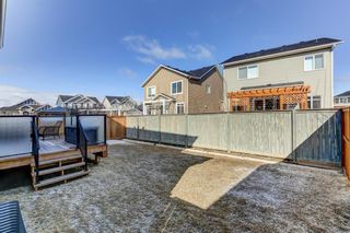 Photo 29: 306 Bayside Crescent SW: Airdrie Detached for sale : MLS®# A2042157