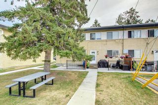 Photo 47: 305 2211 19 Street NE in Calgary: Vista Heights Row/Townhouse for sale : MLS®# A1245740