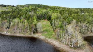 Photo 8: Lot 6 Sarty Road in Branch Lahave: 405-Lunenburg County Vacant Land for sale (South Shore)  : MLS®# 202309739