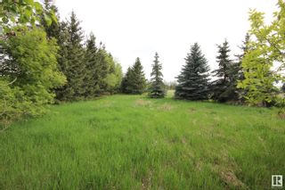 Photo 18: 54322 RGE RD 261: Rural Sturgeon County Vacant Lot/Land for sale : MLS®# E4390180
