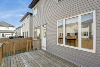 Photo 43: 11 Skyview Shores Road NE in Calgary: Skyview Ranch Detached for sale : MLS®# A2080026