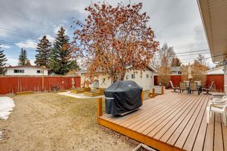 Photo 29: 609 Agate Crescent SE in Calgary: Acadia Detached for sale : MLS®# A2039799
