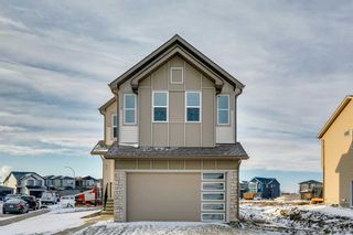 Photo 1: 71 Belvedere Green SE in Calgary: Belvedere Detached for sale : MLS®# A2100390