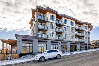 Photo 23: 312 205 Spring Creek Common SW in Calgary: Springbank Hill Apartment for sale : MLS®# A2095461