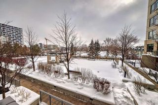 Photo 25: 320 38 9 Street NE in Calgary: Bridgeland/Riverside Apartment for sale : MLS®# A2128134