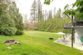 Photo 9: 12693 235 Street in Maple Ridge: East Central House for sale : MLS®# R2258747
