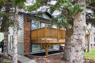 Main Photo: 19 Bermondsey Place NW in Calgary: Beddington Heights Semi Detached (Half Duplex) for sale : MLS®# A2132243