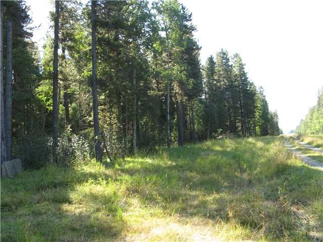 Main Photo: WEST OF BOTTREL in COCHRANE: Rural Rocky View MD Rural Land for sale : MLS®# C3492220