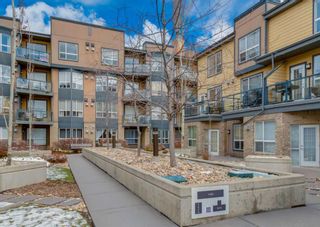 Main Photo: 409 2420 34 Avenue SW in Calgary: South Calgary Apartment for sale : MLS®# A2124150