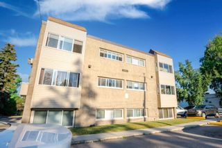 Photo 1: 234 8239 Elbow Drive SW in Calgary: Chinook Park Apartment for sale : MLS®# A1250921