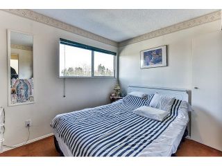 Photo 17: 7967 138A Street in Surrey: East Newton House for sale in "EAST NEWTON" : MLS®# R2046454