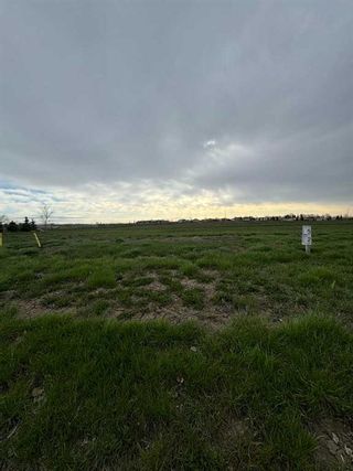 Photo 3: 3021 13 Street: Coaldale Residential Land for sale : MLS®# A2134838