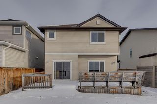 Photo 44: 72 Chaparral Valley Terrace SE in Calgary: Chaparral Detached for sale : MLS®# A2018909