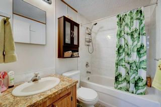 Photo 19: 134 Erin Woods Circle SE in Calgary: Erin Woods Detached for sale : MLS®# A2139766