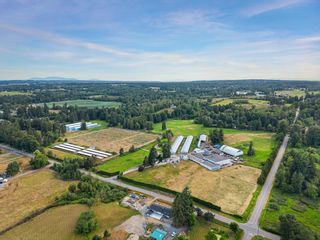 Photo 3: 711 256 Street in Langley: Otter District Agri-Business for sale : MLS®# C8053115