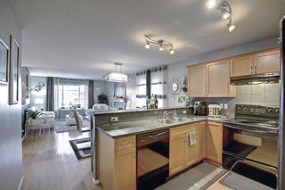 Photo 14: 304 Sagewood Park SW: Airdrie Detached for sale : MLS®# A2003544