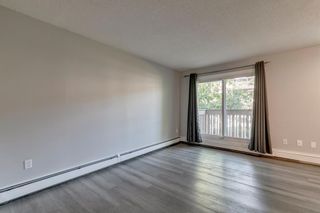 Photo 13: 914 11620 Elbow Drive SW in Calgary: Canyon Meadows Apartment for sale : MLS®# A2003502