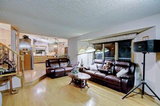 Photo 16: 58 Applecrest Place SE in Calgary: Applewood Park Detached for sale : MLS®# A1188820