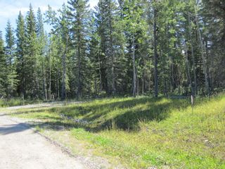 Photo 14: 53 Boundary Close: Rural Clearwater County Residential Land for sale : MLS®# A1050707