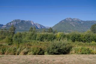 Photo 5: 31 40653 TANTALUS Road in Squamish: Tantalus Condo for sale in "TANTALUS CROSSING" : MLS®# R2614858