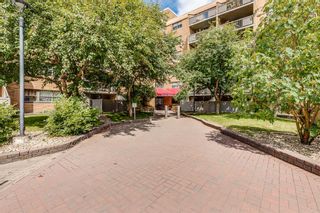 Photo 2: 110 30 Mchugh Court NE in Calgary: Mayland Heights Apartment for sale : MLS®# A2031342