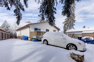 Photo 33: 76 Templewood Road NE in Calgary: Temple Detached for sale : MLS®# A1190228