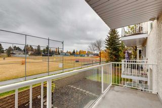 Photo 15: 217 2850 51 Street SW in Calgary: Glenbrook Apartment for sale : MLS®# A2087080