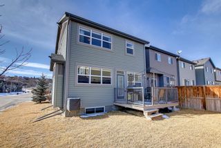 Photo 31: 288 Chaparral Valley Mews SE in Calgary: Chaparral Detached for sale : MLS®# A1192861