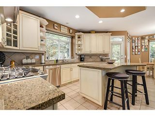 Photo 6: 200 PARKSIDE Drive in Port Moody: Heritage Mountain House for sale : MLS®# V1079797