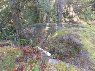 Photo 9: Pender Harbor Property and Land  For Sale