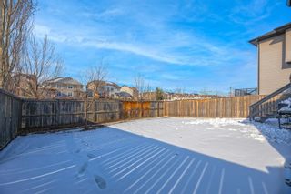 Photo 46: 122 Channelside Cove SW: Airdrie Detached for sale : MLS®# A2010665